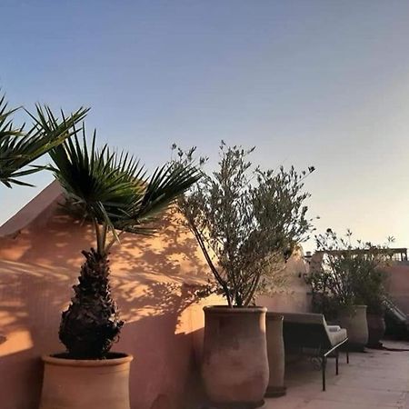 Riad Aloes & Spa (Adults Only) Marrakesch Exterior foto